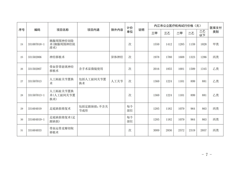 31号%20关于公布2024年内江市第二批新开展医疗服务价格项目及试行价格的通知[1]_06.jpg