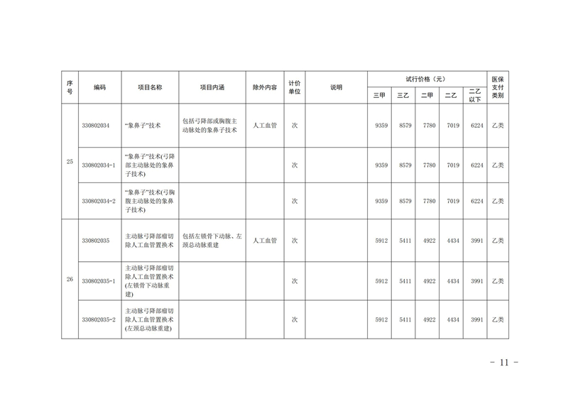 内医保发〔2025〕11号 关于公布2025年内江市第一批新开展医疗服务价格项目及试行价格的通知(_10.jpg